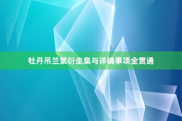 牡丹吊兰繁衍圭臬与详确事项全贯通