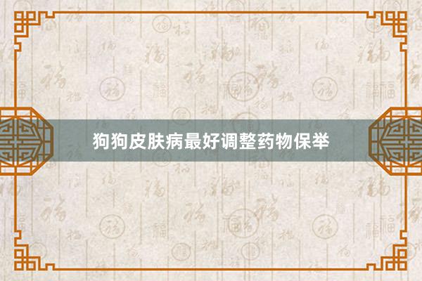狗狗皮肤病最好调整药物保举