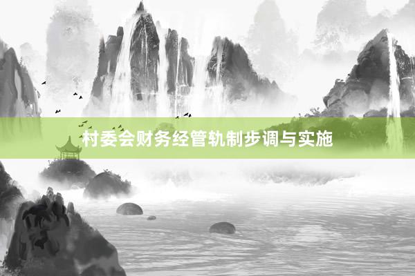村委会财务经管轨制步调与实施